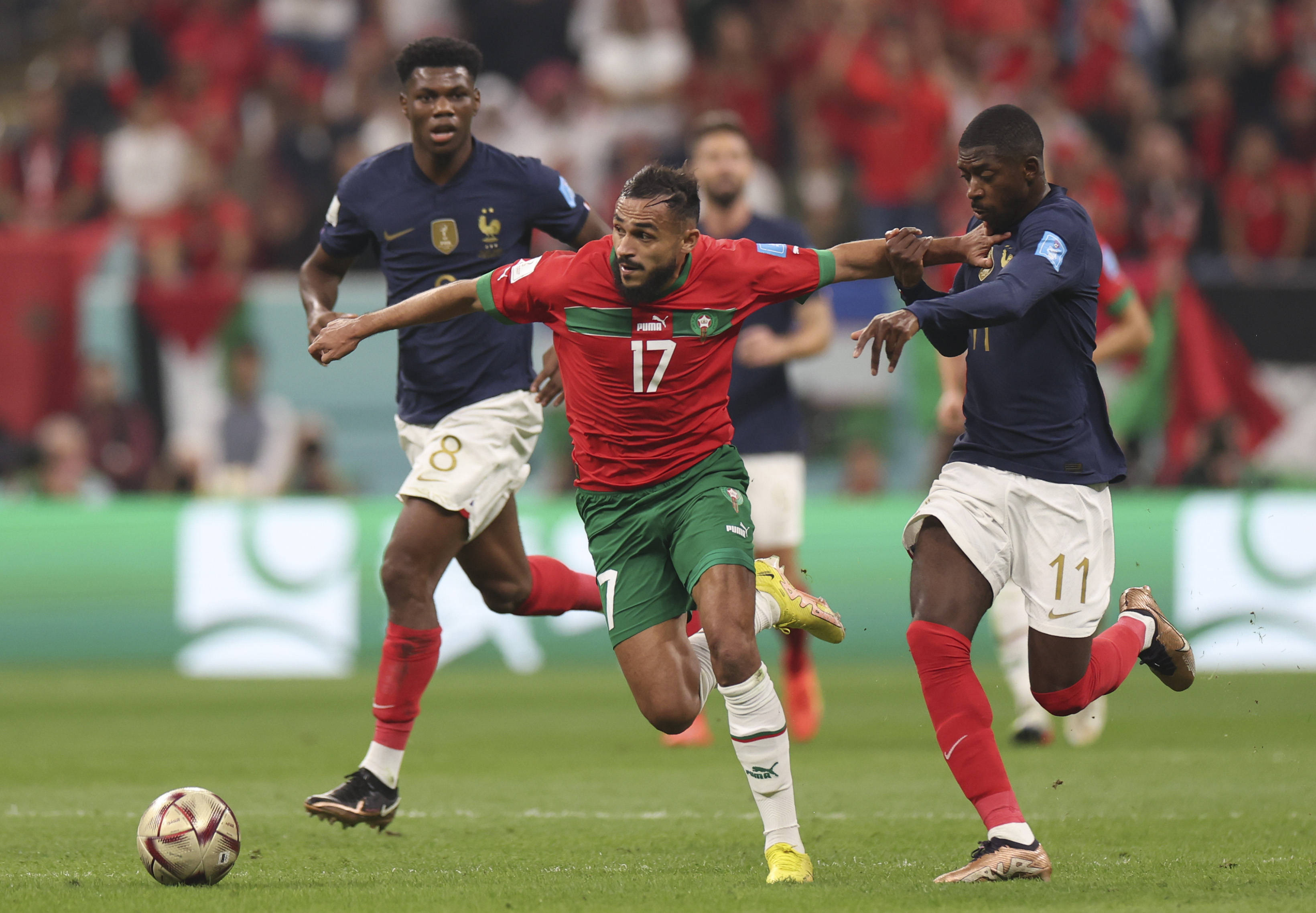 年轻运动员 年轻运动员